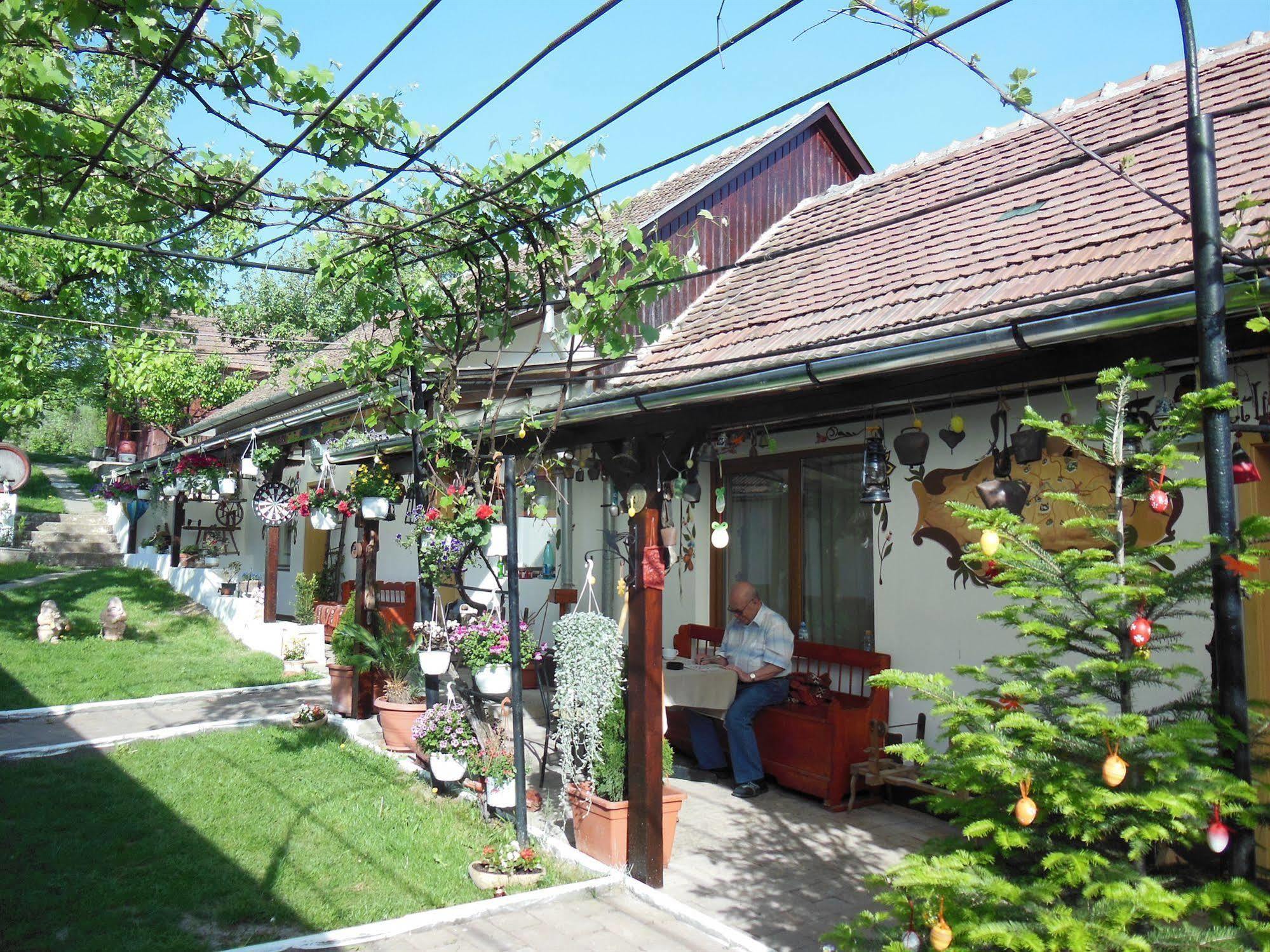 Pension Bassen Bazna Luaran gambar